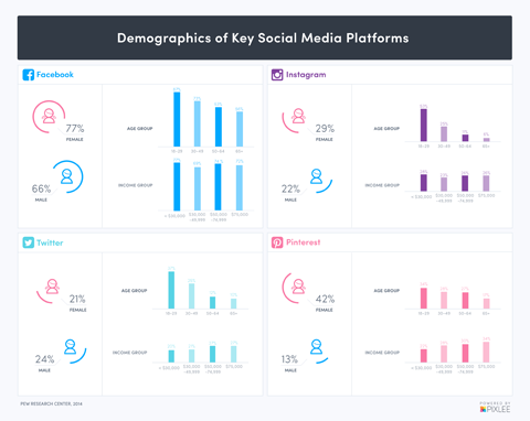 sociālo mediju demogrāfija