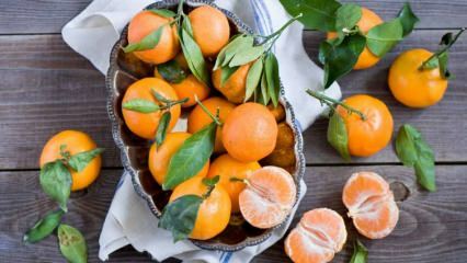 Kādas ir mandarīna priekšrocības? Kas notiek, ja nedēļu ēdat mandarīnus?