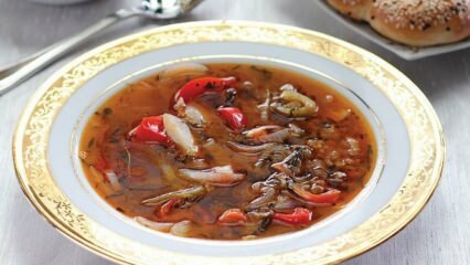 Tarragon garšaugu pied zupas recepte