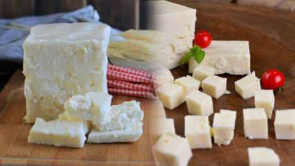 Kas ir Ezine siers un kā to saprot? Ezine siera recepte