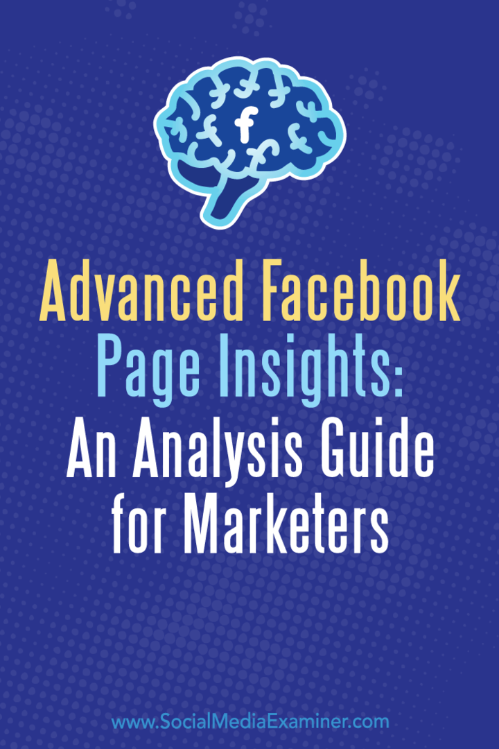 Advanced Facebook Page Insights: Jill Holtz analīzes ceļvedis tirgotājiem par sociālo mediju eksaminētāju.