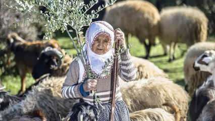 Fatmas krustmāte pusgadsimtu ir bijusi gani Amanos kalnu pakājē!