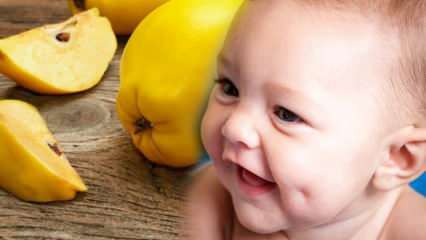 Vai cidonija ir bedrīte? Vai cidoniju ēšana grūtniecības laikā izdaiļo bērnu?