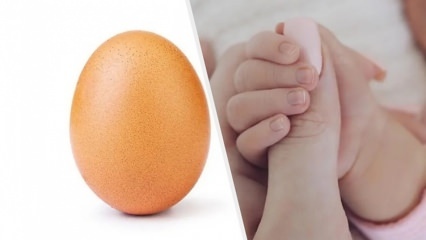 Rekordizēta ola ar 28 miljoniem patīk