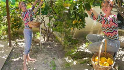 Dziedātāja Tuğba Özerk savā dārzā salasīja citronu no koka!