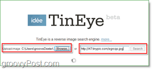 TinEye Ekrānuzņēmums - jūsu attēla meklēšana dublikātiem un lielākām versijām