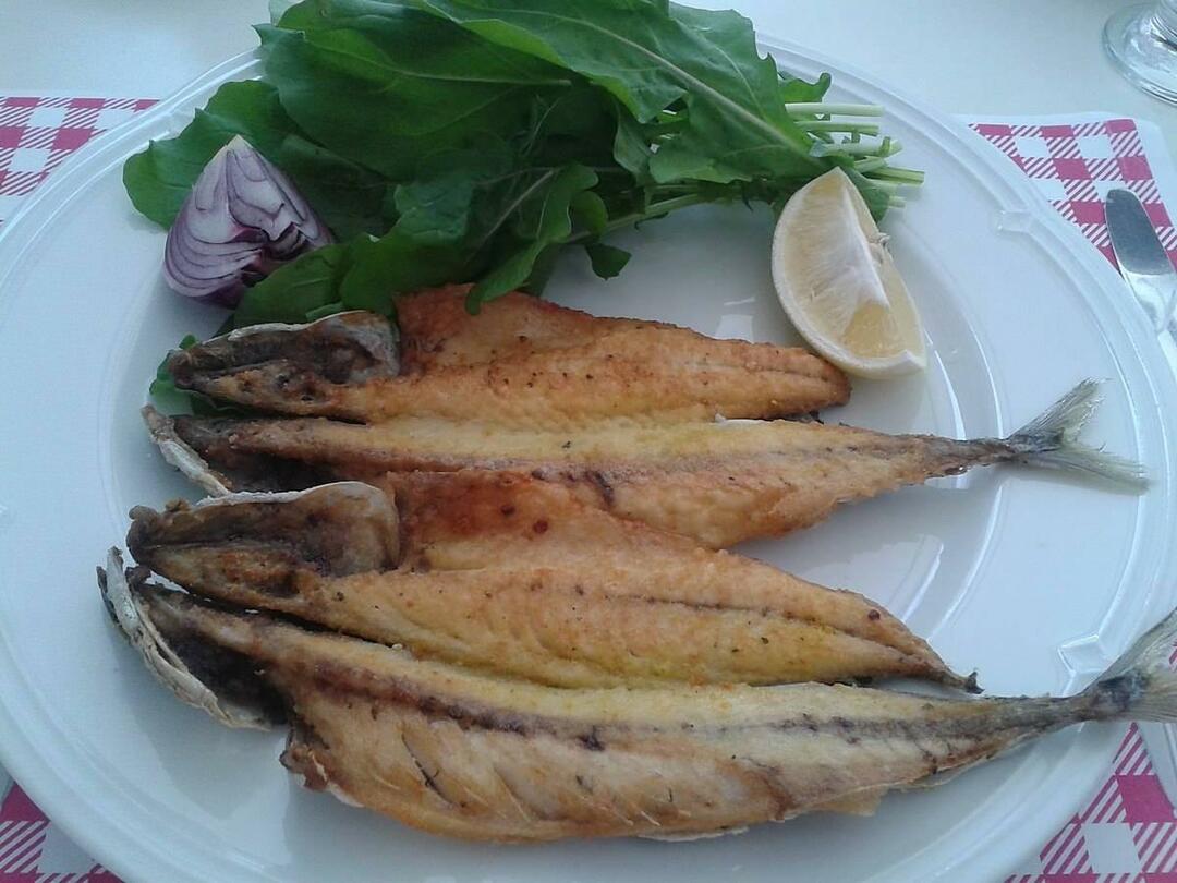Kā pagatavot skumbrijas zivis? Makreļu zivju gatavošanas paņēmieni uz pannas un uz grila