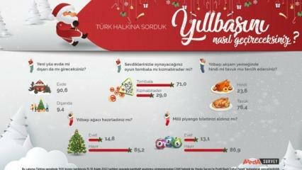 Areda Survey apsprieda Turcijas iedzīvotāju jaunā gada vēlmes! Vistas gaļa ir tītara gaļa jaunajā gadā...