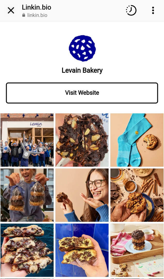 use-thir-party-link-in-bio-app-or-custom-maning-page-streamline-online-shopping-10