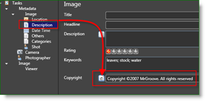 Microsoft Pro foto rīku fotogrāfa MetaData Auto autortiesības:: groovyPost.com