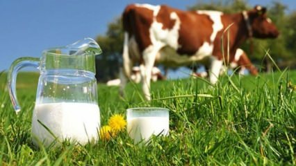Kas ir piena alerģija? Kad piena alerģija iziet zīdaiņiem? Alerģija pret govs pienu ...