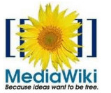 MediaWiki spraudnis Microsoft Word 2010 un 2007