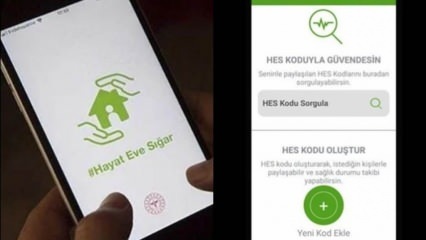 Kā iegūt vienkāršāko HES kodu? Visa informācija par HES koda derīguma termiņu