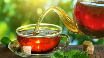 Cik daudz tējas vajadzētu dzert grūtniecības laikā?