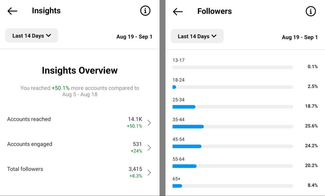 kā-pārbaudīt-auditorijas-ieskats-instagram-app-overview-followers-example-3
