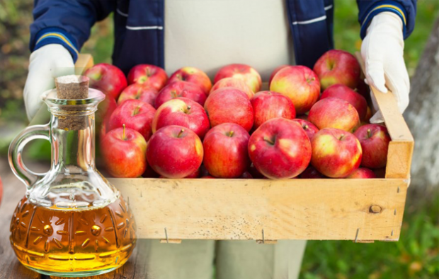 Vai ābolu sidra etiķis vājina?