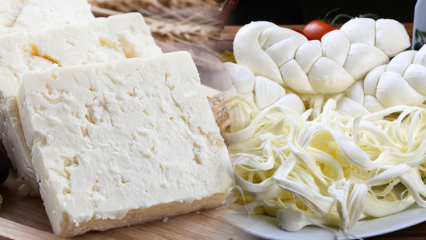Kā saprast labu sieru? Padomi siera izvēlei