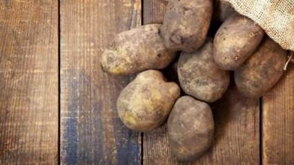 Kā tiek glabāti kartupeļi?