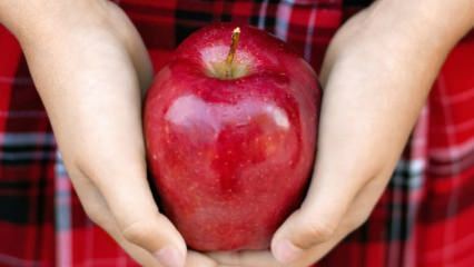 Kā tiek novērtēti sapuvuši āboli? 