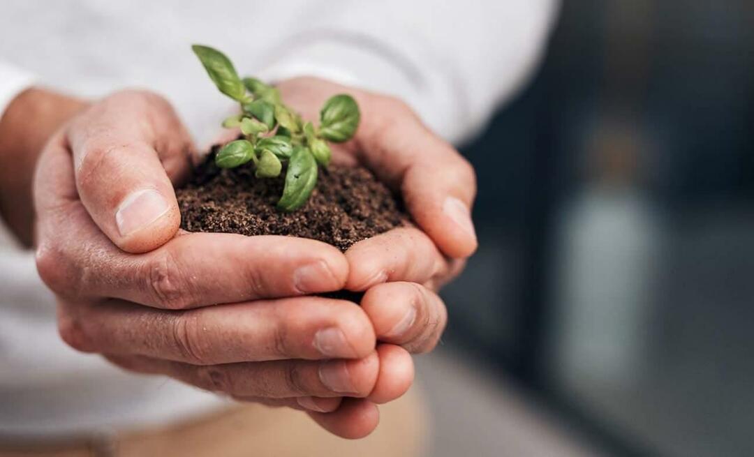 Kas ir nulles atkritumi? Kāds ir mērķis ar nulles atkritumiem? “Zero Waste” mobilizācija no Emine Erdogan