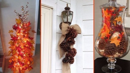 5 objekti, kas rudenī jūsu mājām pievienos skaistumu!
