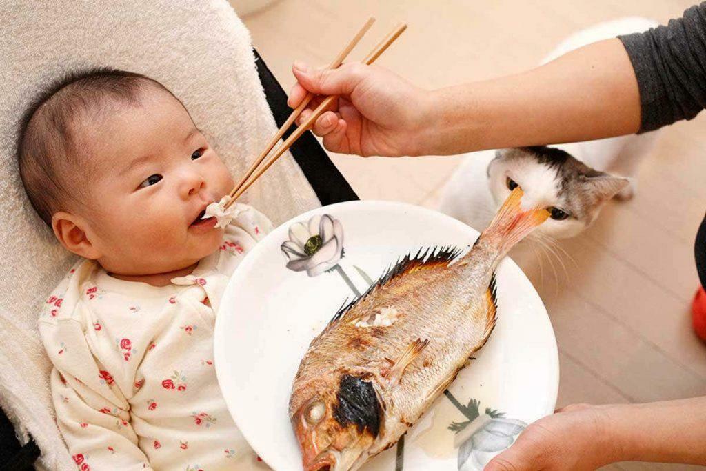 zivju barošana mazulim