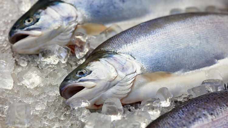 Vai saldētavā izmesto zivju garša mainās?