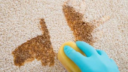 Kā mājās pagatavot paklāju tīrīšanas aerosolu?
