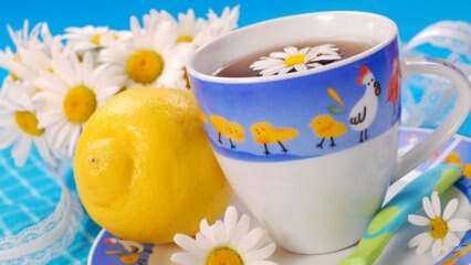 Zāļu tējas ieteikums no Saraçoğlu grūtniecības laikā! Vai grūtniecēm ir kaitīgi dzert zāļu tēju?
