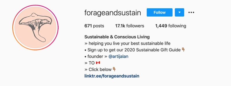 instagram profila piemērs no @forageandsustain ar piezīmi viņu profila informācijā, lai iegūtu vairāk saites uz bio saiti