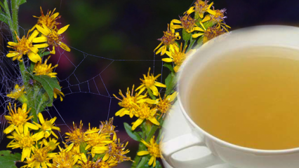 Kādas ir Altinbasak garšaugu priekšrocības? Ko dara Altinbasak zāļu tēja?