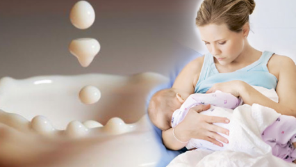 Kā tiek reproducēts mātes piens? Konservēšanas receptes, kas palielina mātes pienu