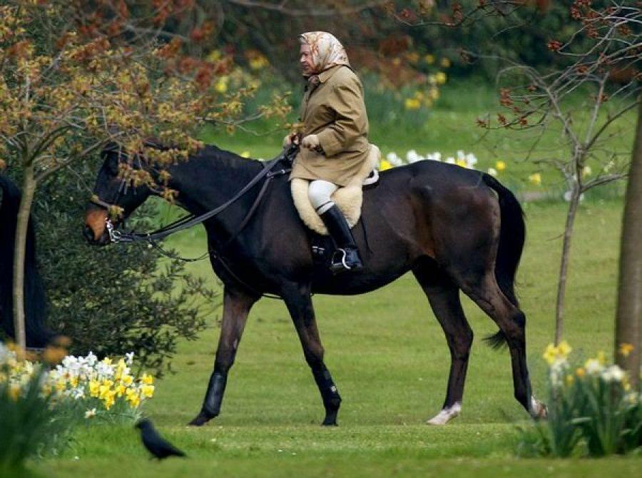 Karaliene Elizabete izjādē ar zirgu 