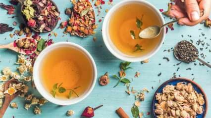 Kuras ir visātrāk taukus dedzinošās zāļu tējas? 7 visefektīvākās tauku dedzināšanas zāļu tējas! 
