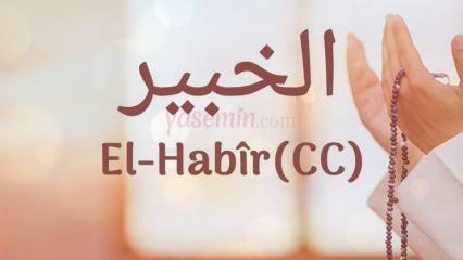Ko nozīmē al-Habirs (c.c)? Kādi ir vārda Al-Habir tikumi? Esmauls Husna Al-Habirs...
