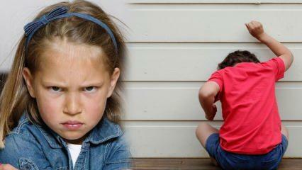 Kā tikt galā ar dusmu problēmu bērniem? Dusmu un agresijas cēlonis bērniem 