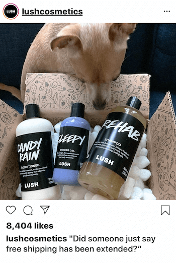 Instagram biznesa ziņa ar suni