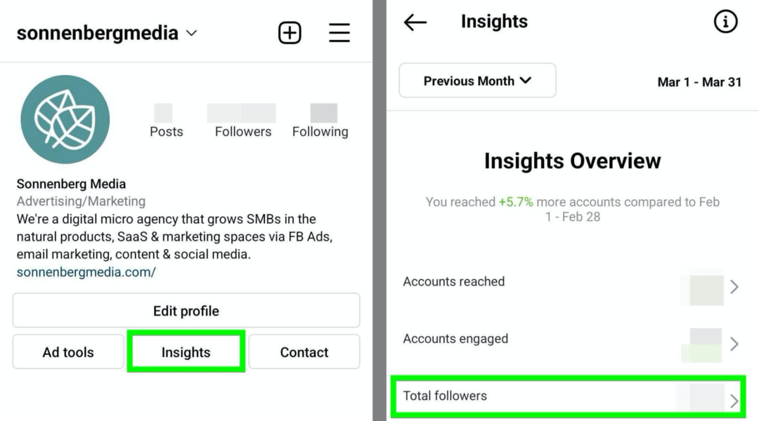 Instagram Insights Total Followers opcijas attēls